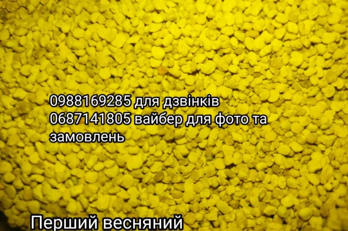 Якісний бджолиний пилок- фото № 3