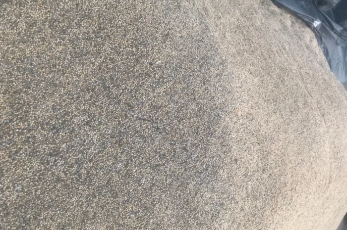 Продажа весенней сои- фото № 3