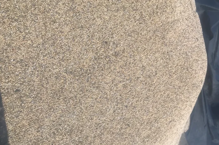 Продажа весенней сои- фото № 4