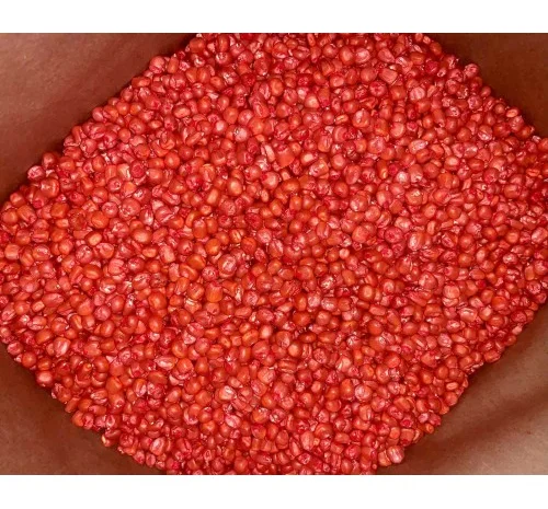 Насіння кукурудзи ДБ Хотин (ФАО 280) от производителя- фото № 3