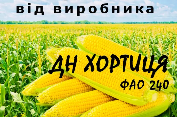 Насіння кукурудзи ДН Хортиця ФАО 240 від виробника Agro_Exprt- фото № 1