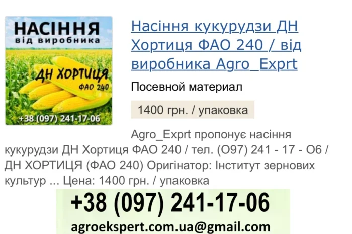 Насіння кукурудзи ДН Хортиця (ФАО 240) від виробника- фото № 1