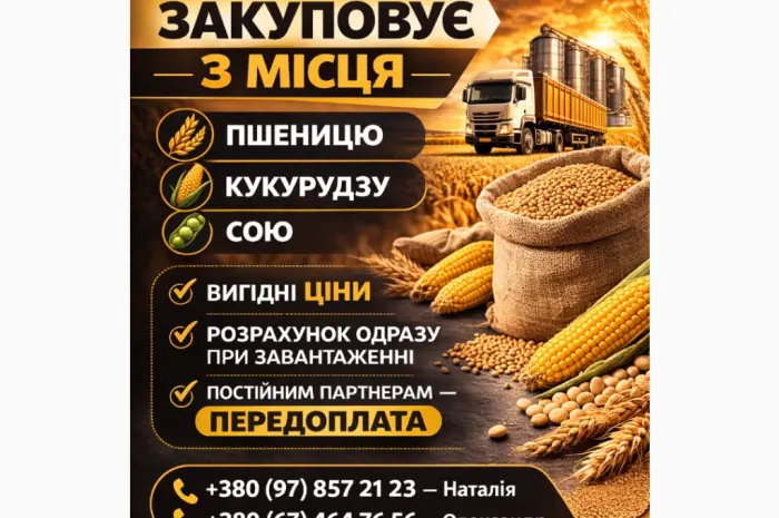 Закупаем зерно с поля / хозяйства – пшеница- фото № 1