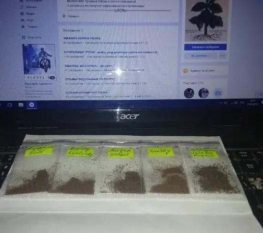 "Комплект новичка" - пять сортов, семена табака.- фото № 1