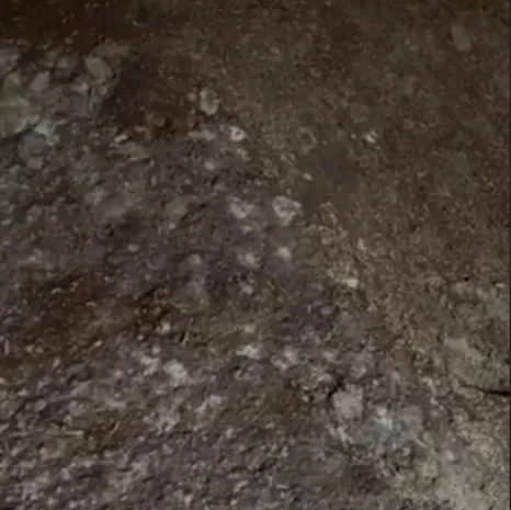 Відходи кукурудзи 50 тонн- фото № 1