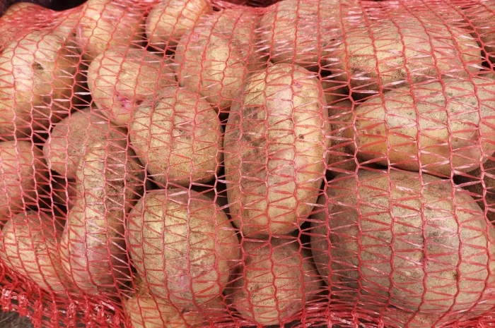 Продается картофель сортов Пікассо, Рівєра, Коломбо, Тірас- фото № 1