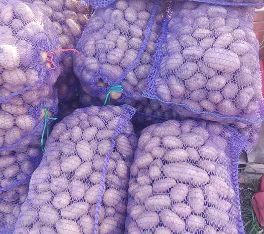 Продається картопля сорту Тирас- фото № 1