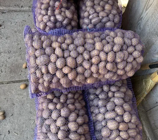 Картопля Мелоді с доставкой- фото № 1