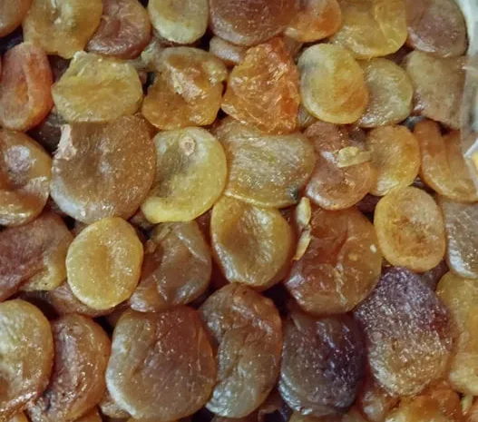 Курага урожай 2025- фото № 1