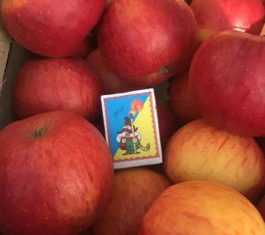 Яблоки различных сортов для сока и переработки- фото № 1