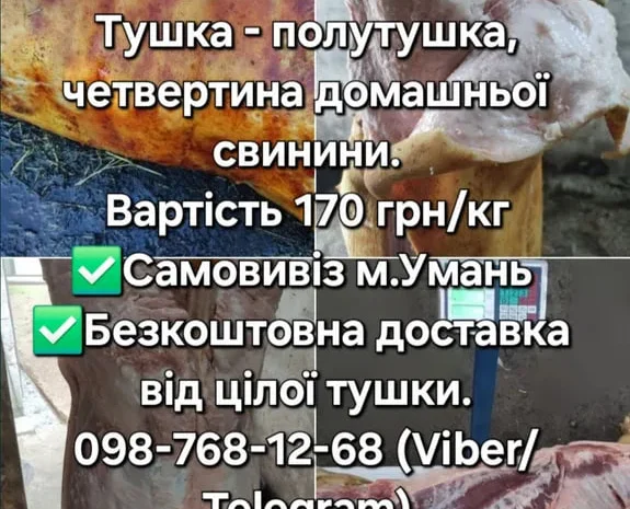 Тушка, свинини, баранини,ягнятини, курятини- фото № 1