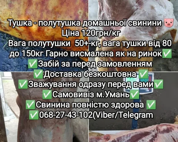 Тушка полутушка м'ясо домашньої свинини.- фото № 1
