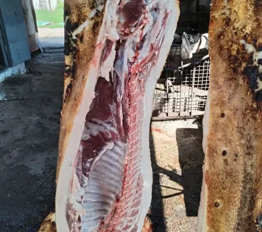 Свинина домашня вагова тушка- фото № 1