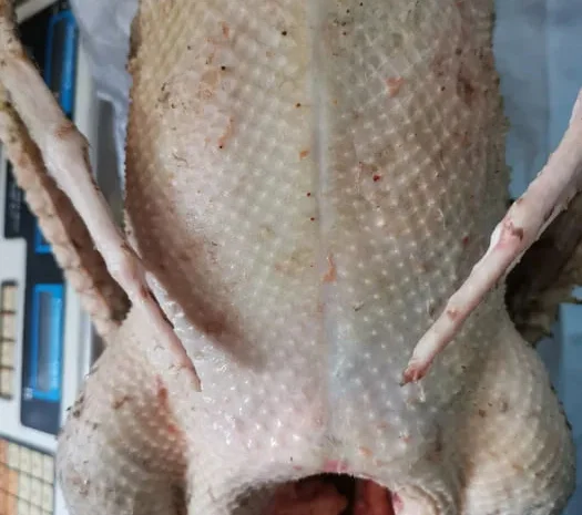 Тушка гуся, куры, утка, гусиный жир, перепела- фото № 1