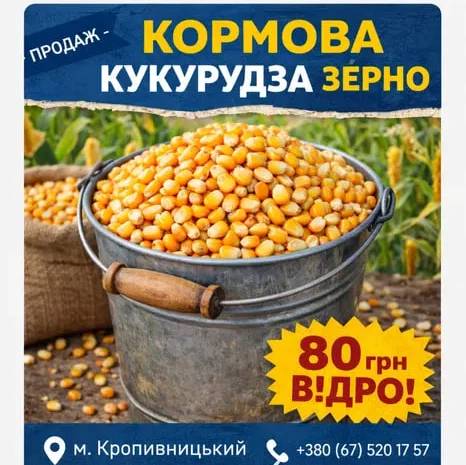 Продажа кукурудзи кормова- фото № 1