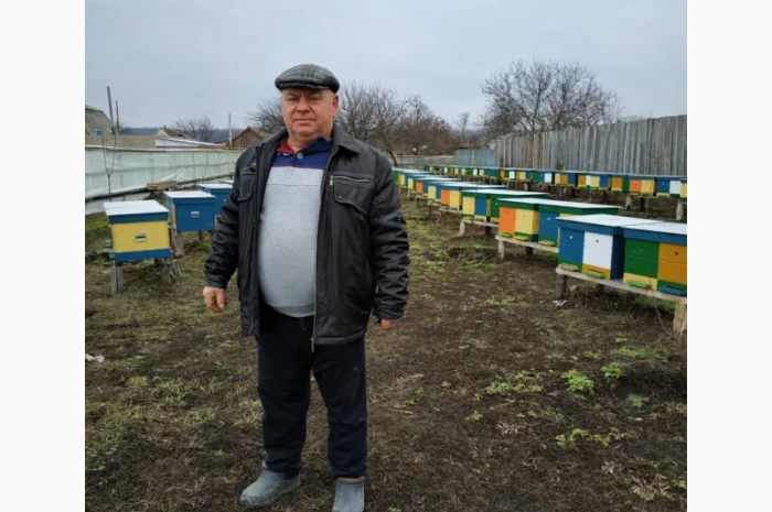 Пропонуються бджолопакети 3+1 та 4 рамки- фото № 2