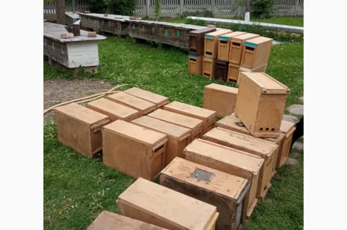 Пропонуються бжолопакети породи Карпатка- фото № 1