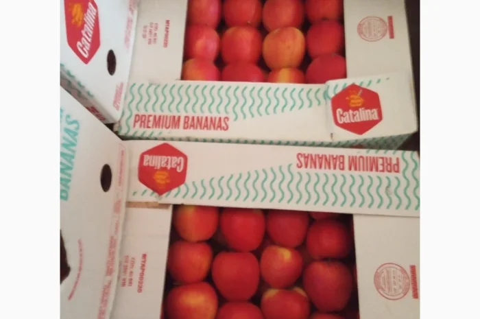 Продаются яблоки различных сортов- фото № 6