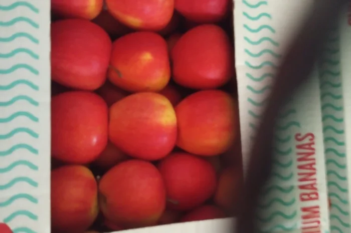 Продаются яблоки различных сортов- фото № 8