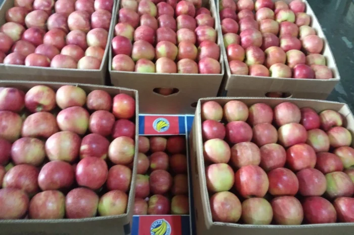 Продаются яблоки различных сортов- фото № 9
