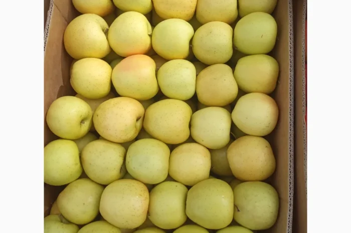 Продаются яблоки различных сортов- фото № 5