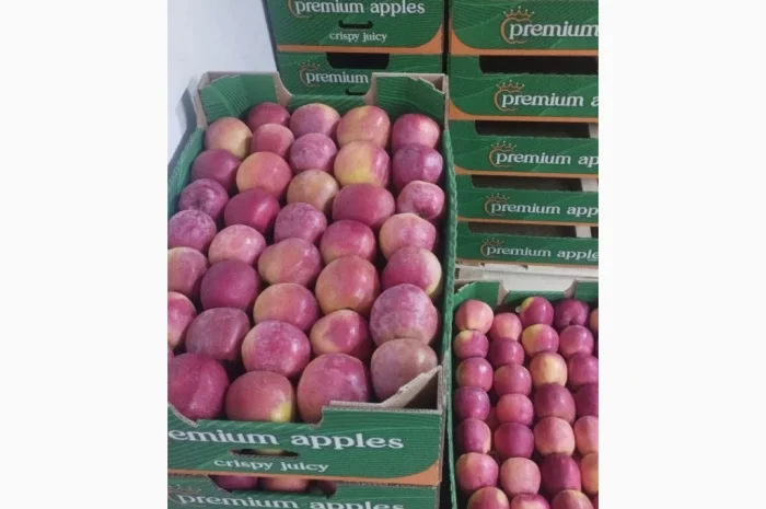 Продается яблоки отличного качества- фото № 1