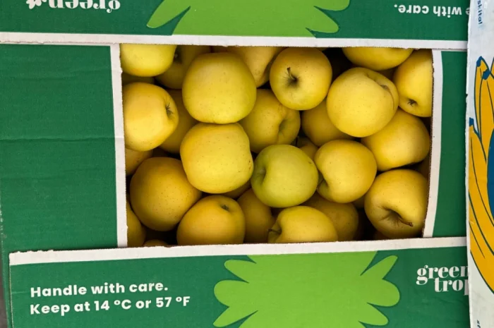 Продаются яблоки сорта Голден Делішес и Чемпіон Рено- фото № 3