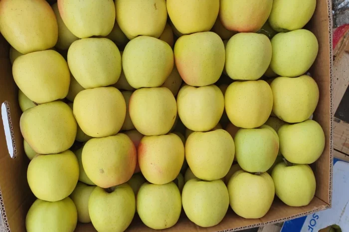 Продаются яблоки отличного качества- фото № 1