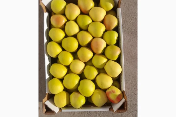 Продаются яблоки сорта Джеромін- фото № 1