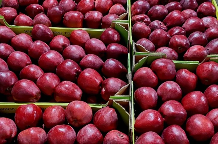 Продаются яблоки сорта Джеромін- фото № 5