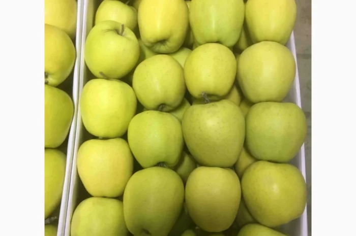 Продаются яблоки Чемпион из холодильника- фото № 2