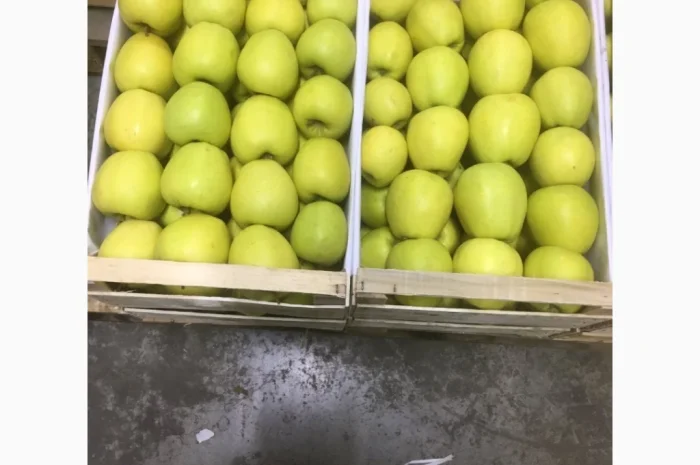 Продаются яблоки Чемпион из холодильника- фото № 3