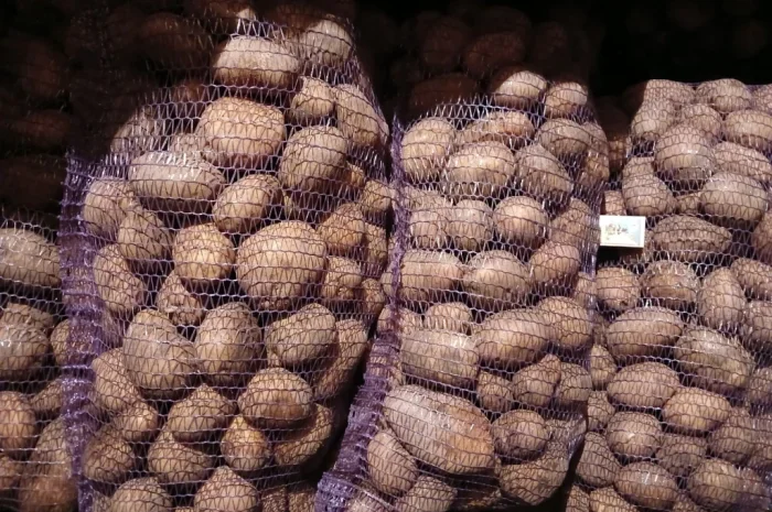 Продается качественная товарная картошка- фото № 1