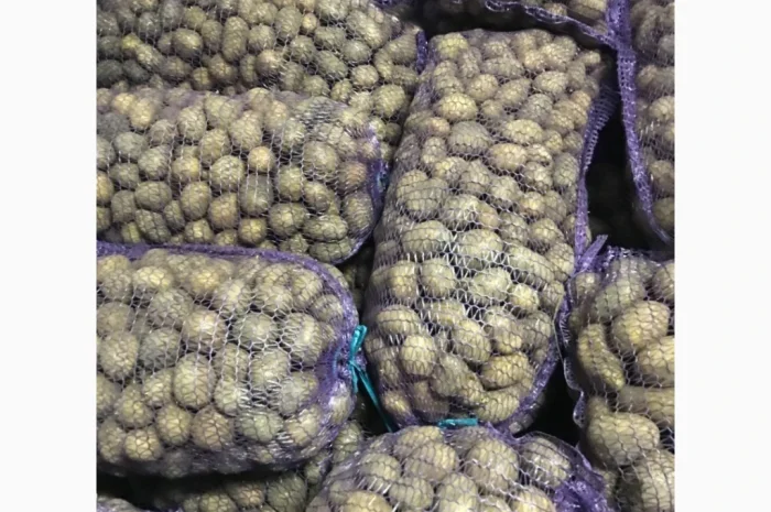 Продается товарная картошка сорта Аризона- фото № 2