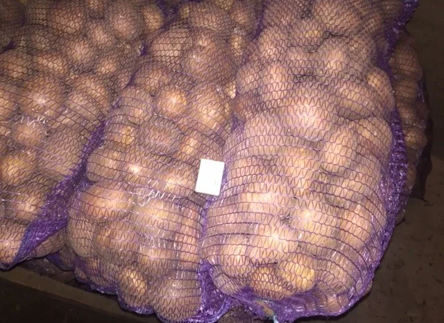 Пропонується якісна домашня картопля- фото № 1