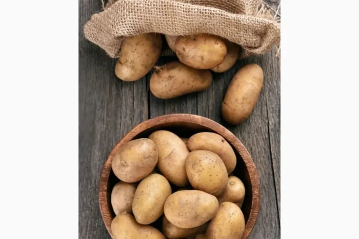 Куплю картошку оптом от 20 тонн- фото № 1