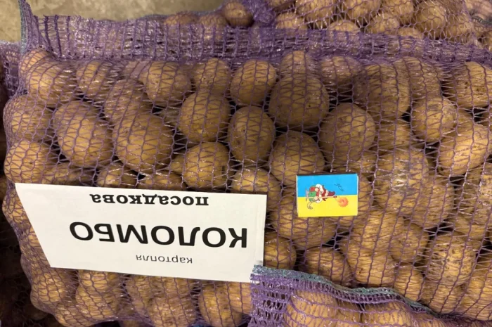 Насіння картоплі сорту Коломбо – продаж- фото № 2