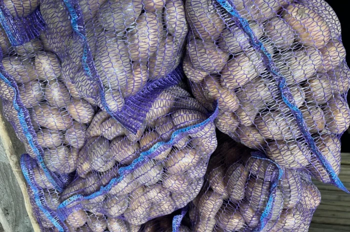 Продается картофель сорт Аризона- фото № 2