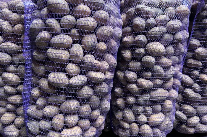 Продается картофель сорт Аризона- фото № 3