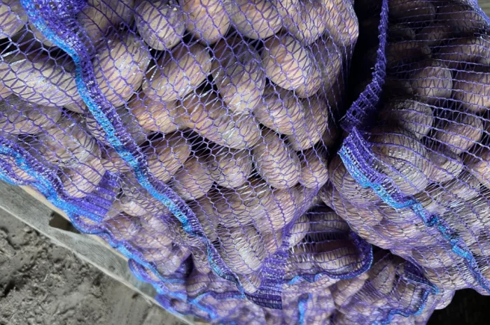 Продается картофель сорт Аризона- фото № 5