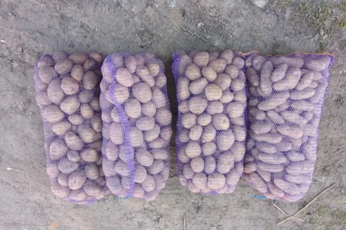 Продается картофель от населения- фото № 1