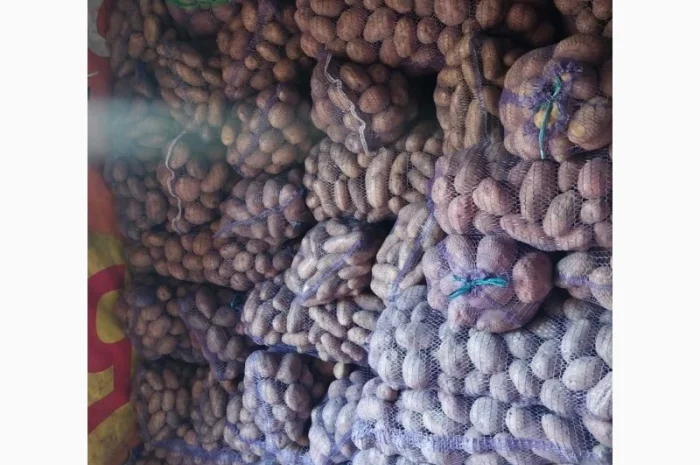 Продается картофель от населения- фото № 2