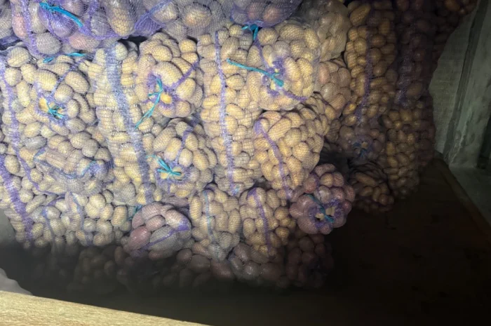 Продается картофель от населения- фото № 4