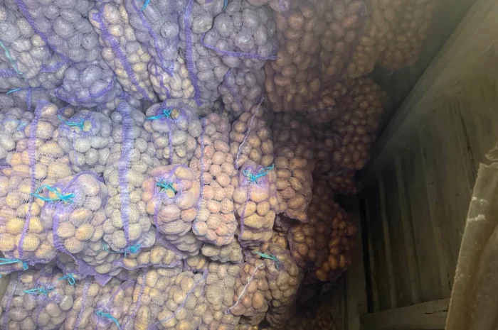 Продается картофель от населения- фото № 5