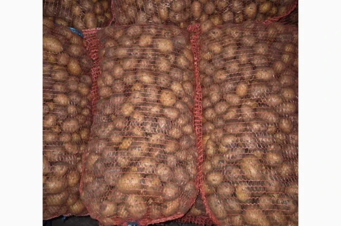 Продажа семенного картофеля разных сортов- фото № 2