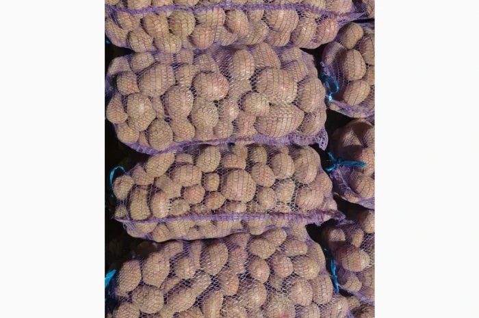 Продается товарная картошка сорта Білароса- фото № 3