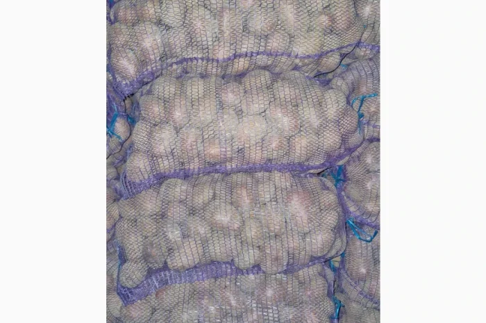 Продается товарная картошка сорта Білароса- фото № 4