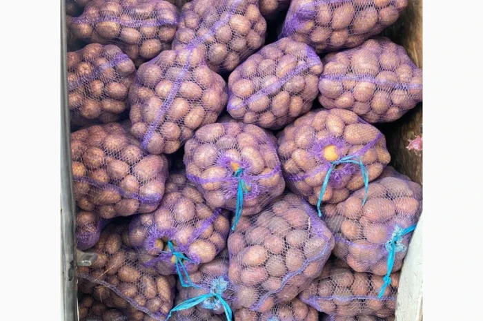 Продаж картоплі різних сортів- фото № 1