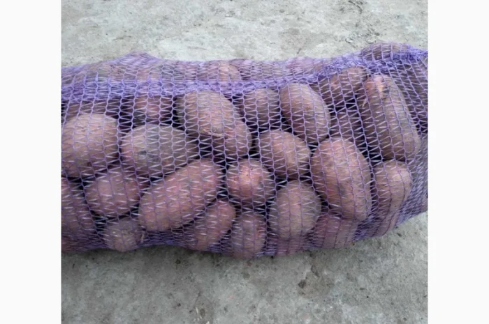 Продается семенная картошка различных сортов- фото № 1