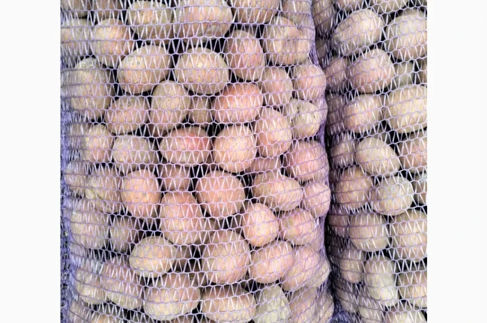 Пропоную насінневу картоплю, сорт Білороса- фото № 3